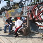 Jordan Blue in 'Jordan Blue - Blacks On Cougars'