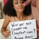Ariana Aimes in 'Ariana Aimes - We Fuck Black Girls'