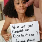 Ariana Aimes in 'Ariana Aimes - We Fuck Black Girls'