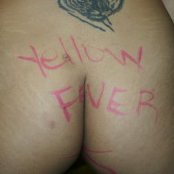 Asia - Wife Writing