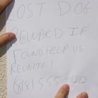 Christine Michaels in 'Christine Michaels - Cuckold Sessions'