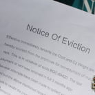 Desi Foxx in 'Desi Foxx - Blacks On Cougars'