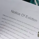 Desi Foxx in 'Desi Foxx - Blacks On Cougars'