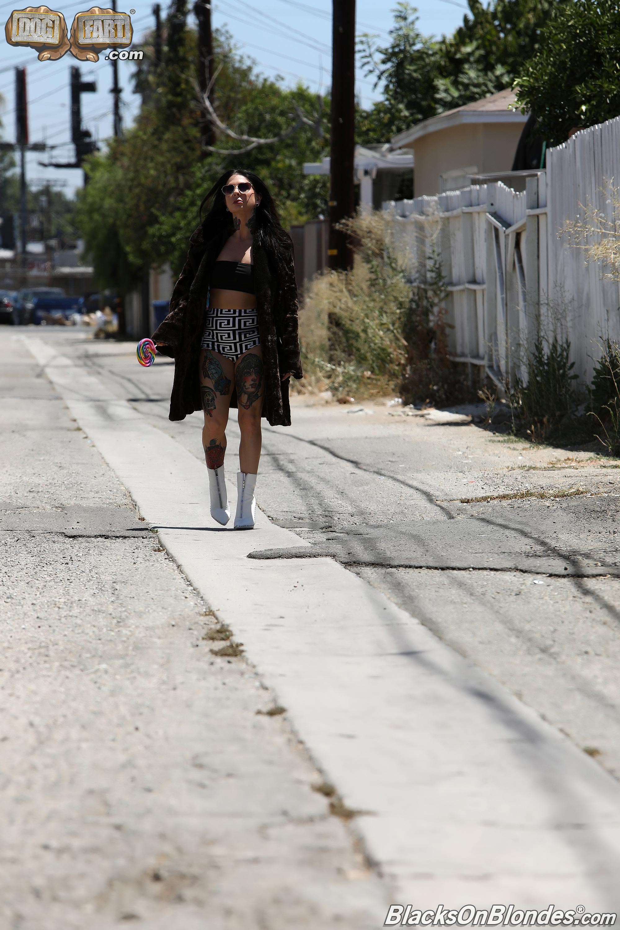 Joanna Angel - Blacks On Blondes - Scene 2