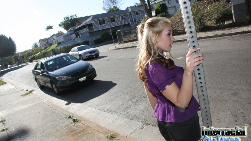 Sarah Vandella - Interracial Pickups